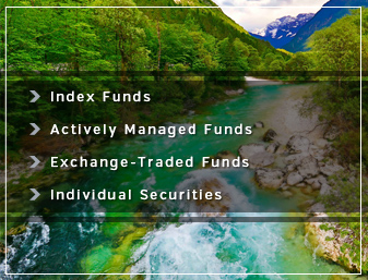 Investment Advising - Index funds, actively managed funds, exchange-traded funds, and individual securities